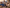 Promotion banner