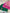 Three knit beanie hats in pink, green, and pink with a brand logo on a marble surface.