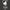 Logo of The Good Cashmere Standard by ABTF with a white goat silhouette on a black background.